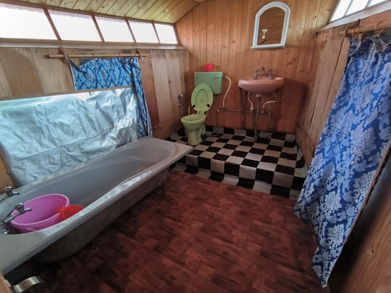Botel Houseboat Shora Palace Group Of Houseboats